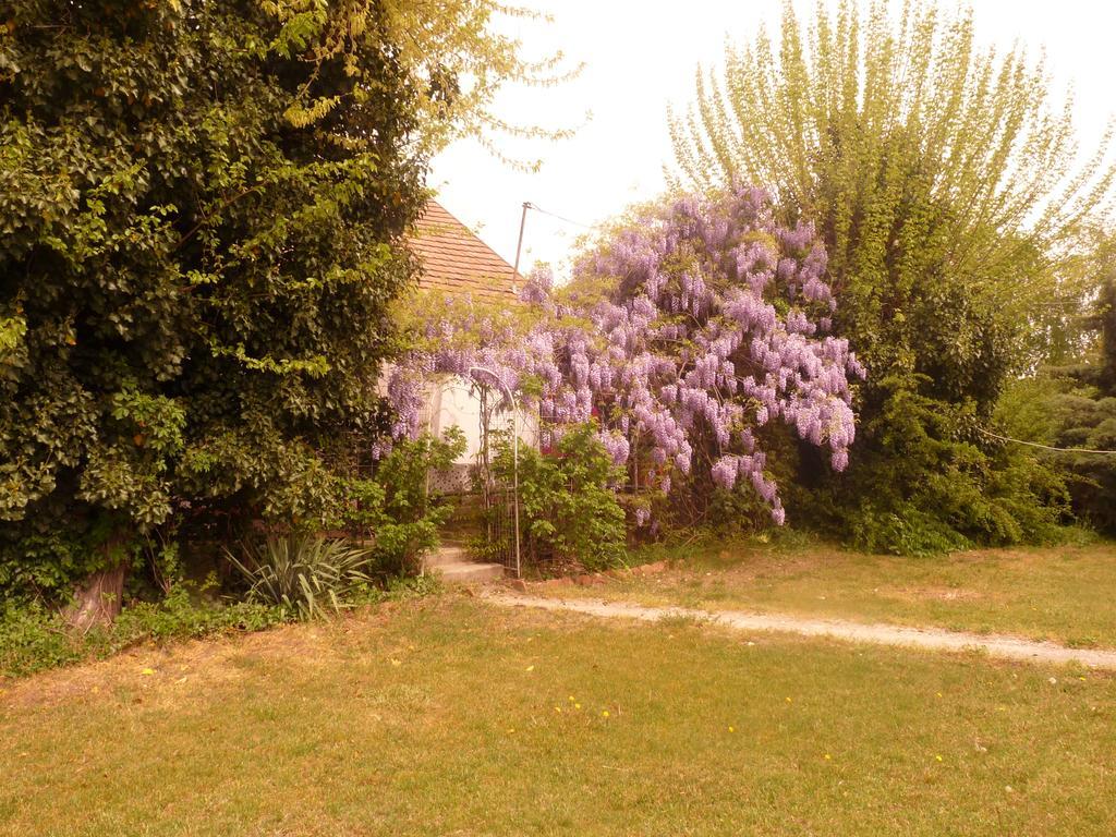 Séjour à la ferme Dobo Tanya