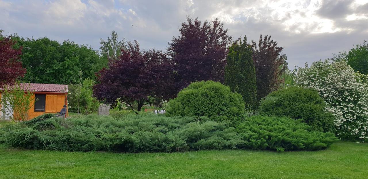 Alloggio per agriturismo Dobo Tanya *