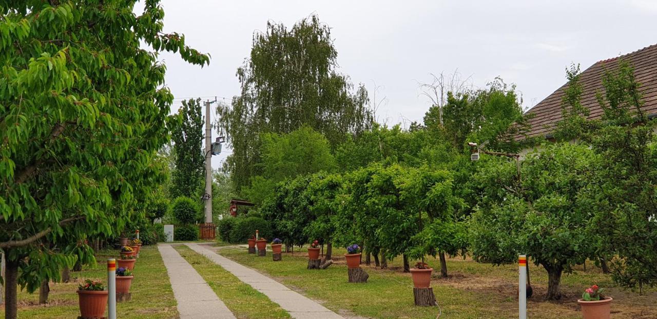 Dobo Tanya Alloggio per agriturismo Roszke